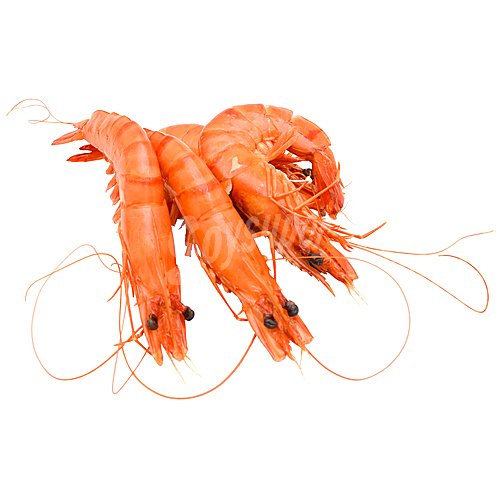 Langostino cocido calibre 90/120