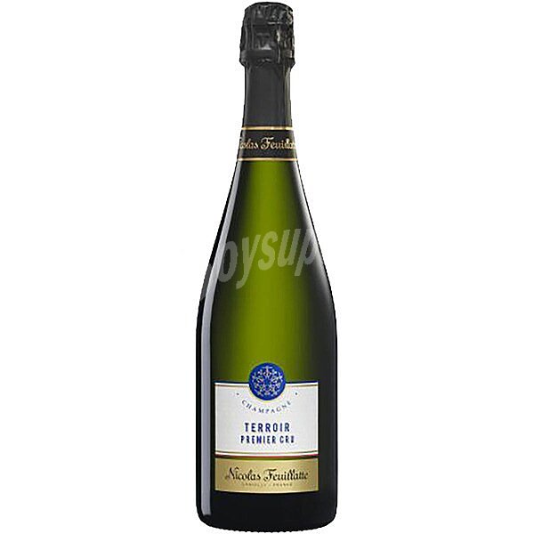 Champagne Terroir Premier Cru