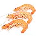 Langostino cocido 30-40