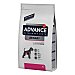 Advance Veterinay Diets Urinary pienso para perros adultos