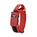 Julius K9 Collar regulable para perros con asa de color rojo julius K9 40 mm (38-53 cm)