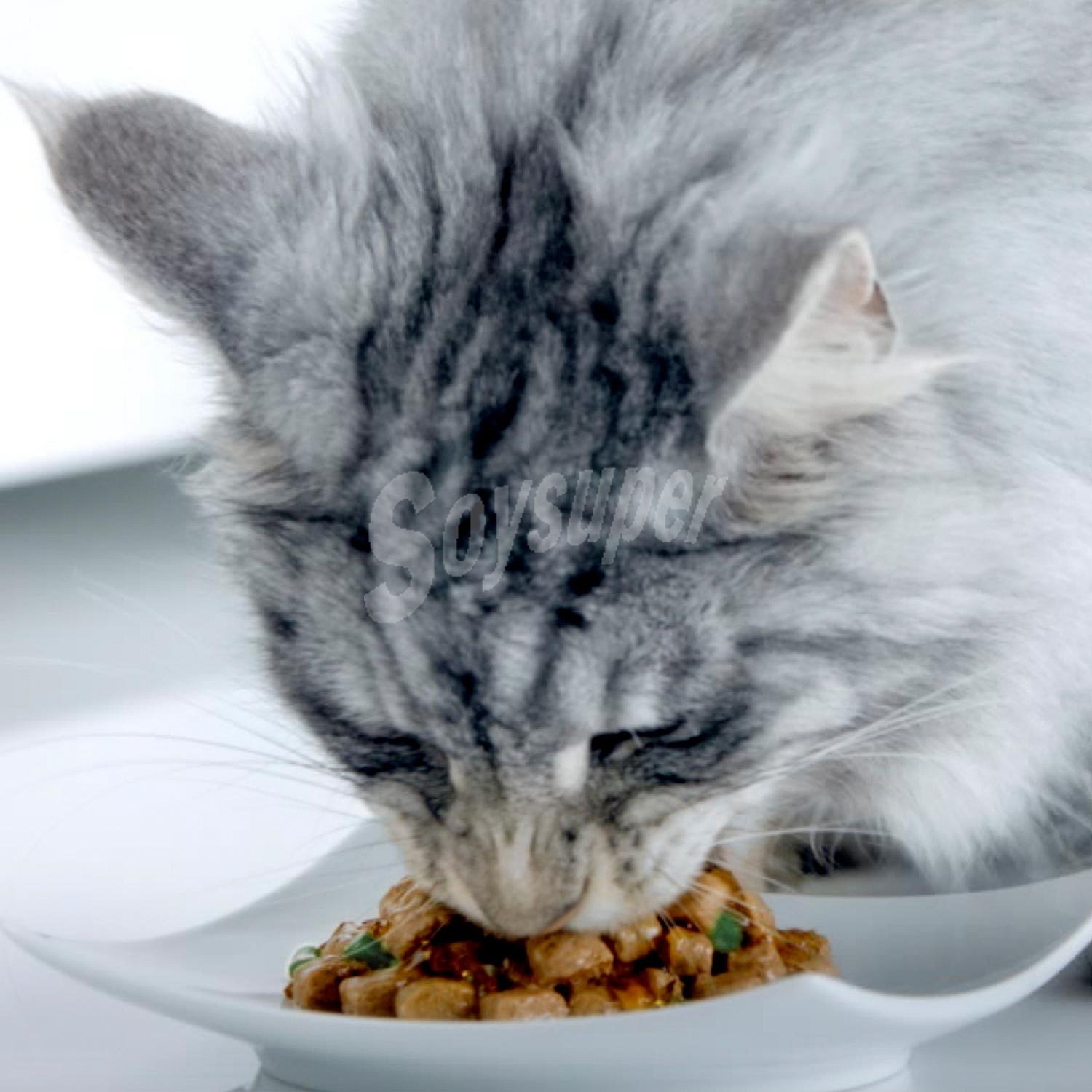 Comida para gatos con indoor formula a base de salsa de atún y judías verdes