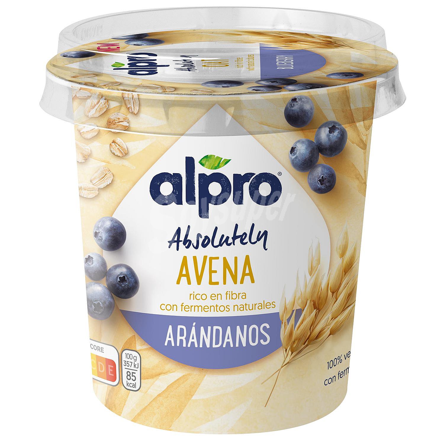 Big pot avena arándanos alpro