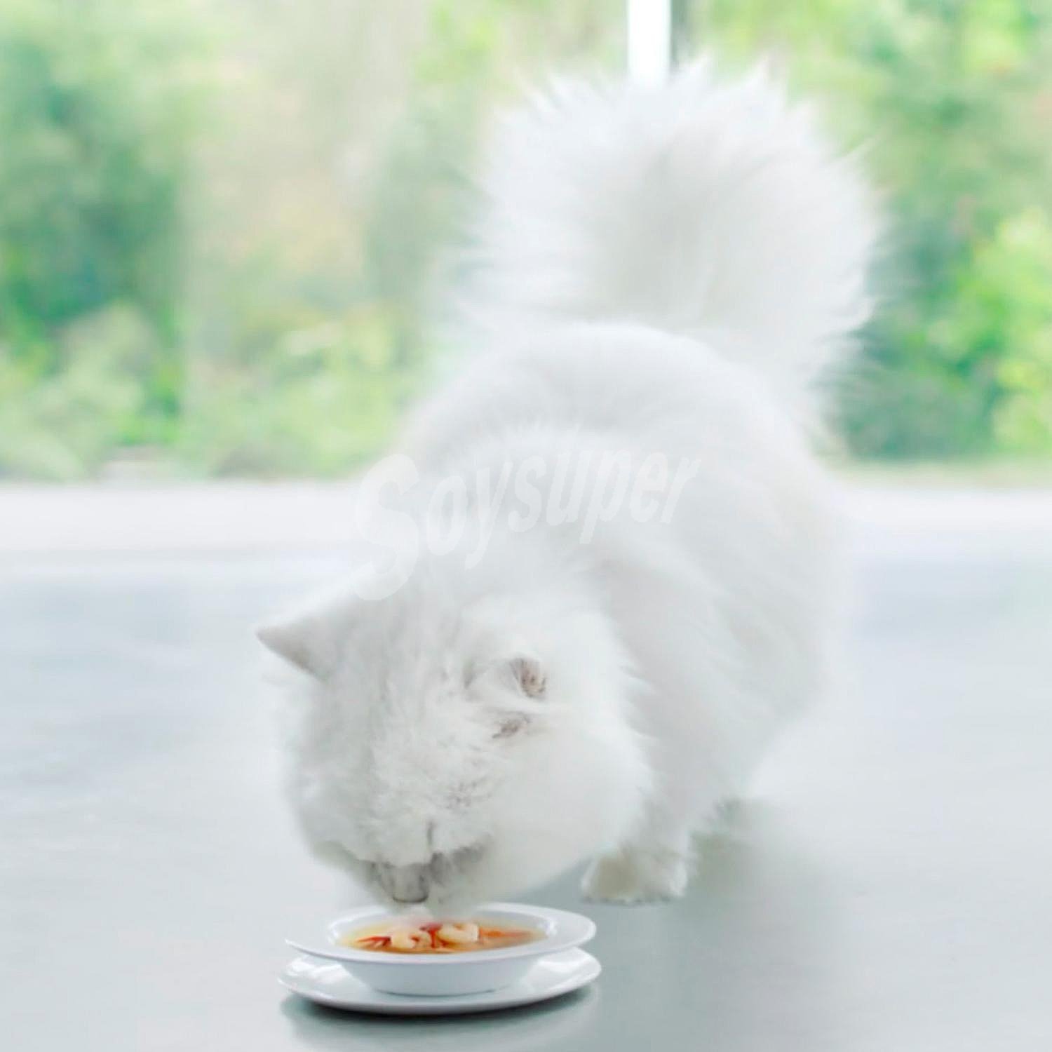 Purina Gourmet Crystal Soup Comida para Gato Atun Natural y Gambas