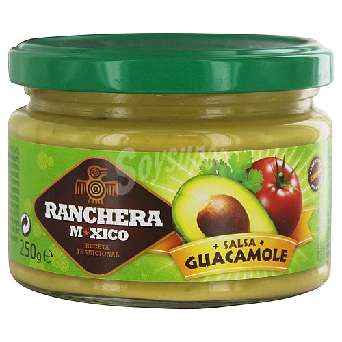 Ranchera mexico Salsa guacamole ranchera mexico