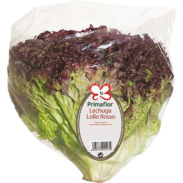 Lechuga lollo rosso