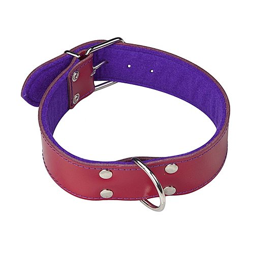 Arppe Collar ajustable de cuero talla 55 para perros arppe