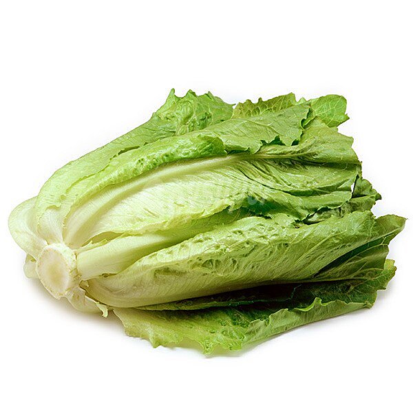 Lechuga