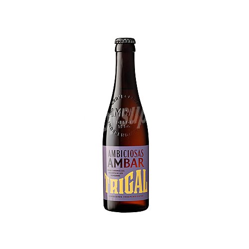 Ambar Cerveza rubia ambar trigal