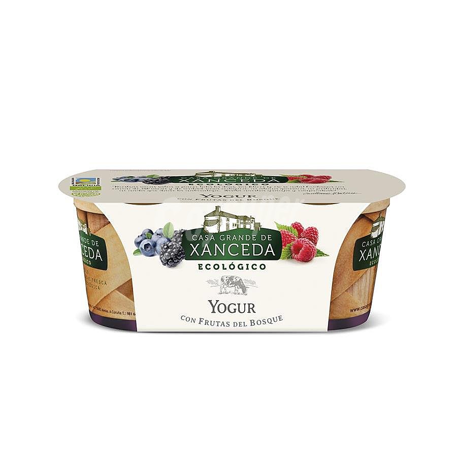 Yogur con frutas del bosque Ecológico Casa Grande Xanceda sin gluten