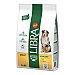 Adult with chicken pienso para perros adultos raza mediana y grande de 10 a 30 Kg con pollo