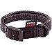 Collar para perro modelo Confort color negro medida 2,5 cm-55cm