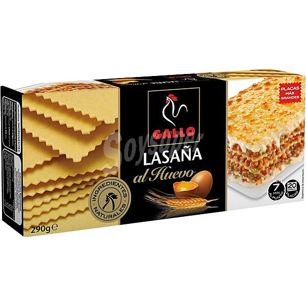 Pasta lasaña placas