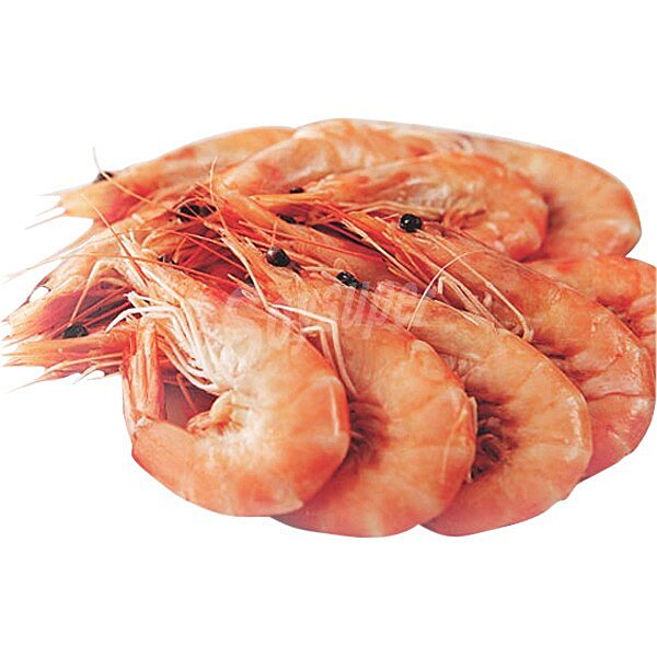 Langostino cocido gordo