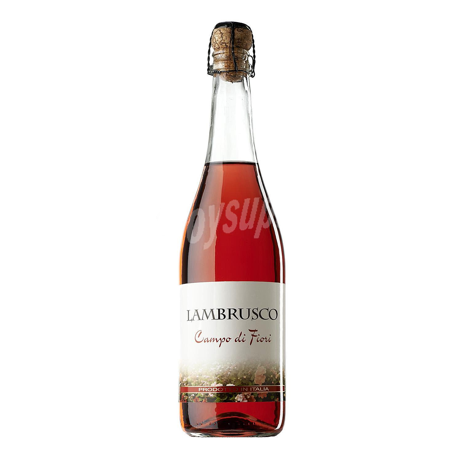 Vino Lambrusco rosado Campo di Fiori