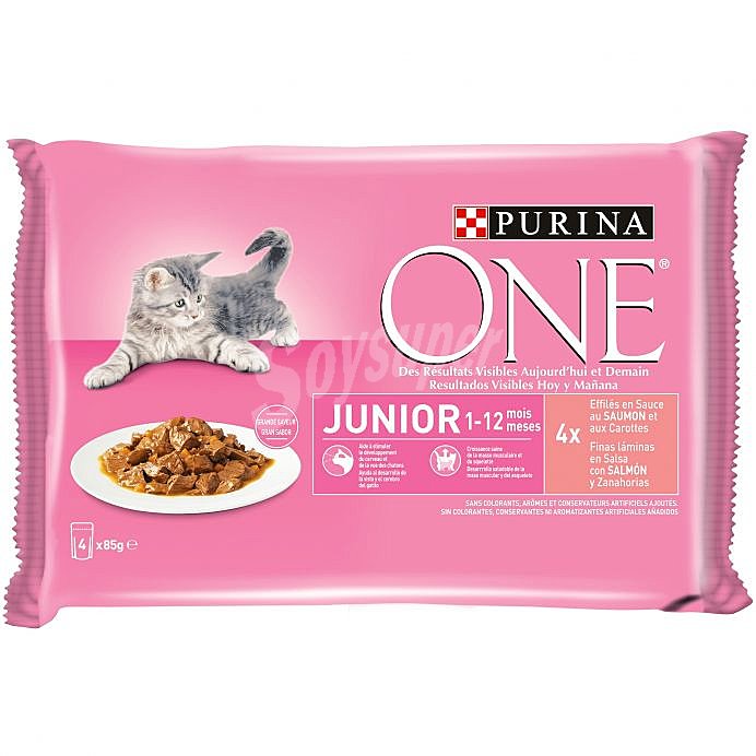 Comida para gatos junior 1 -12 meses a base de salsa con salmón y zanahoria