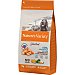 Selected pienso para perros adultos medianos y grandes No Grain salmón bolsa 2 kg