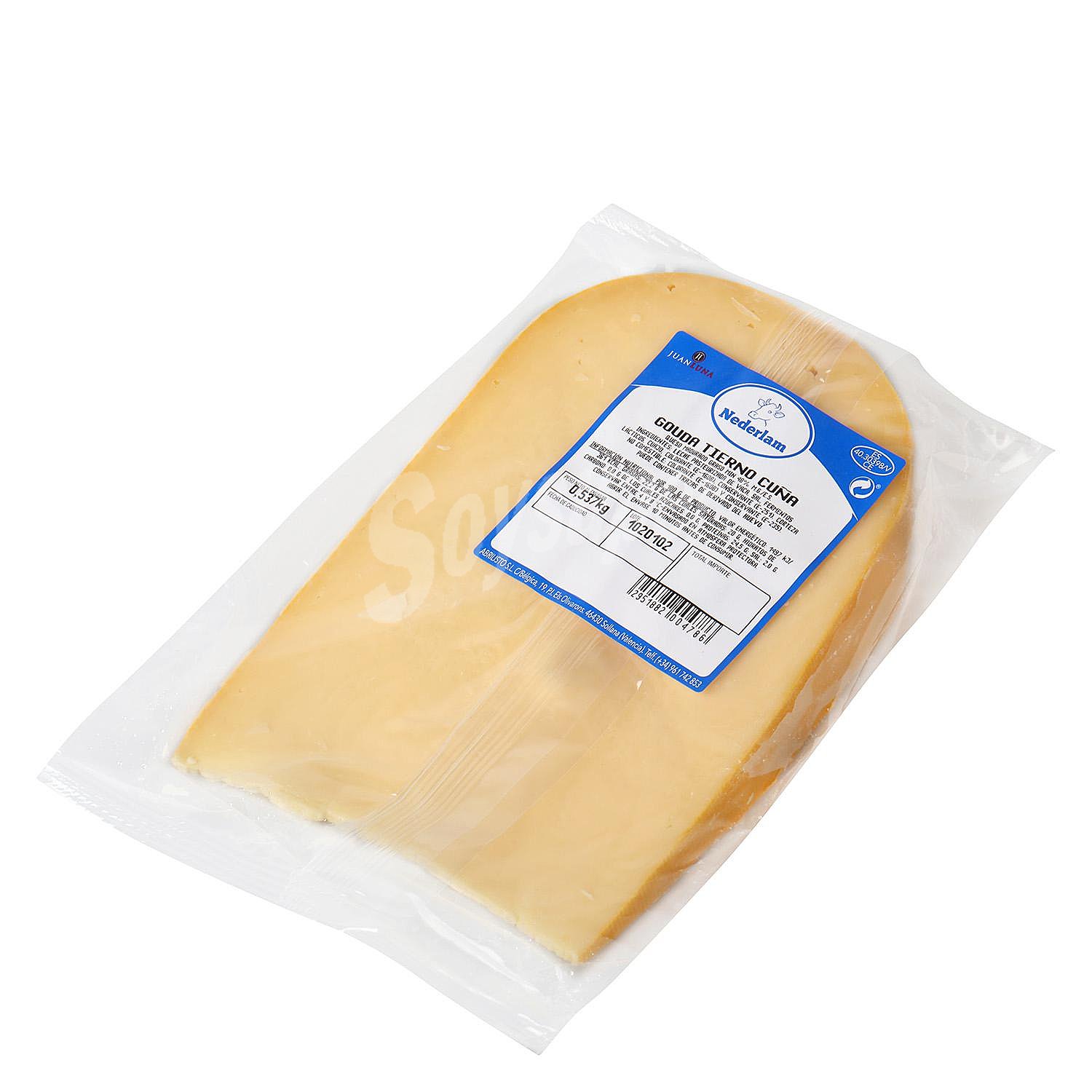 Queso gouda tierno