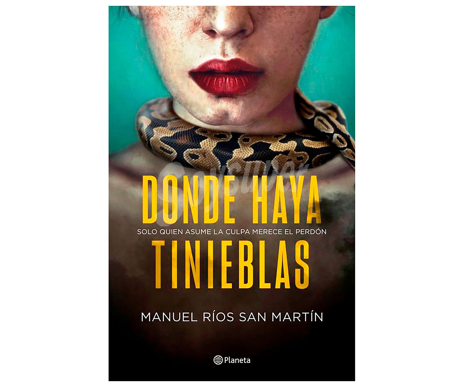 Donde haya tinieblas, manuel ríos SAN martín. Género: novela negra. Editorial Planeta.