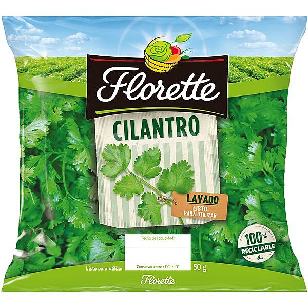 Cilantro lavado y listo para utilizar