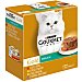 Gold alimento para gatos tartalette caja 8 x 85 gr