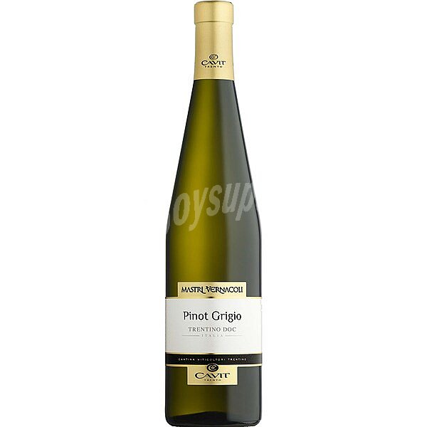 Vino blanco pinot grigio Mastri Vernacoli Italia