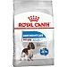 Light Weight Care pienso para perros adultos medianos bolsa 3 kg