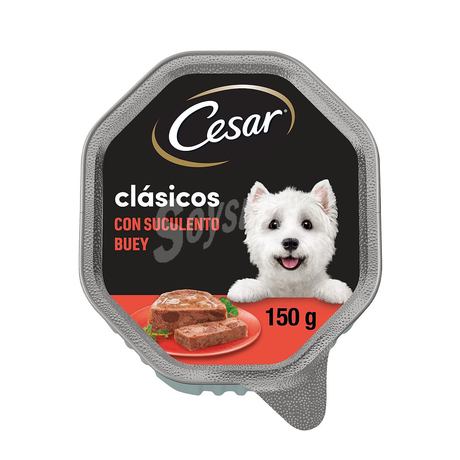 Comida para perro adulto a base de paté de buey cesar