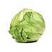 Lechuga iceberg