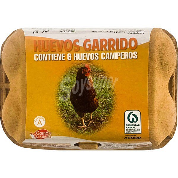 Huevos camperos categoría A