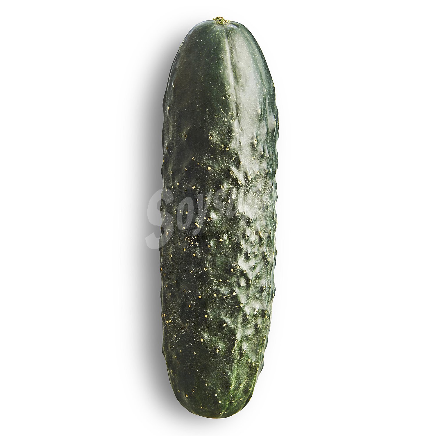 Pepino (venta POR unidades), varios, (peso aproximado DE LA )