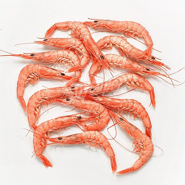 Gamba blanca cocida 95-110 pzas/kg