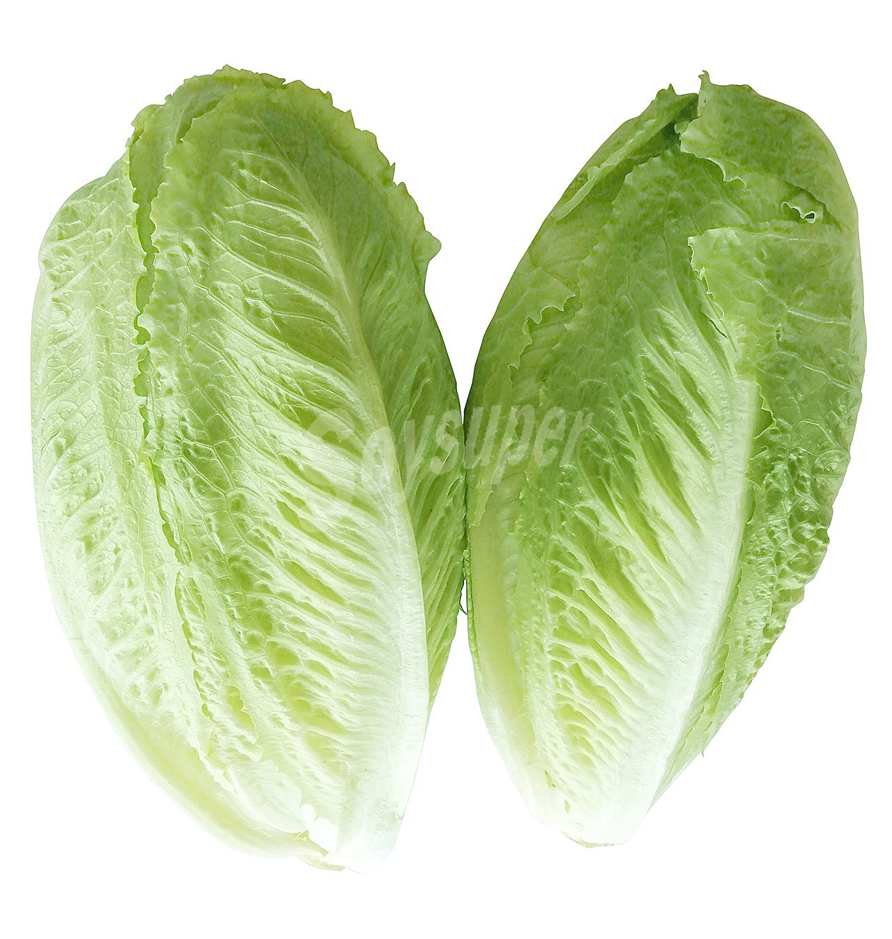 Lechuga romana