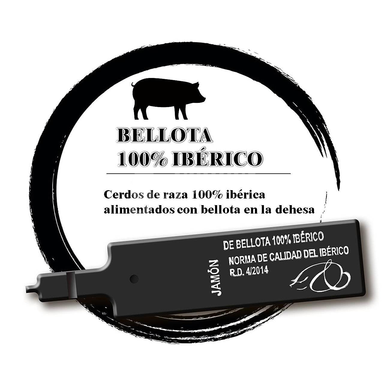 Jamón de Bellota Ibérico 100% Raza Ibérica pieza