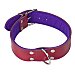 Arppe Collar ajustable de cuero talla 65 para perros arppe