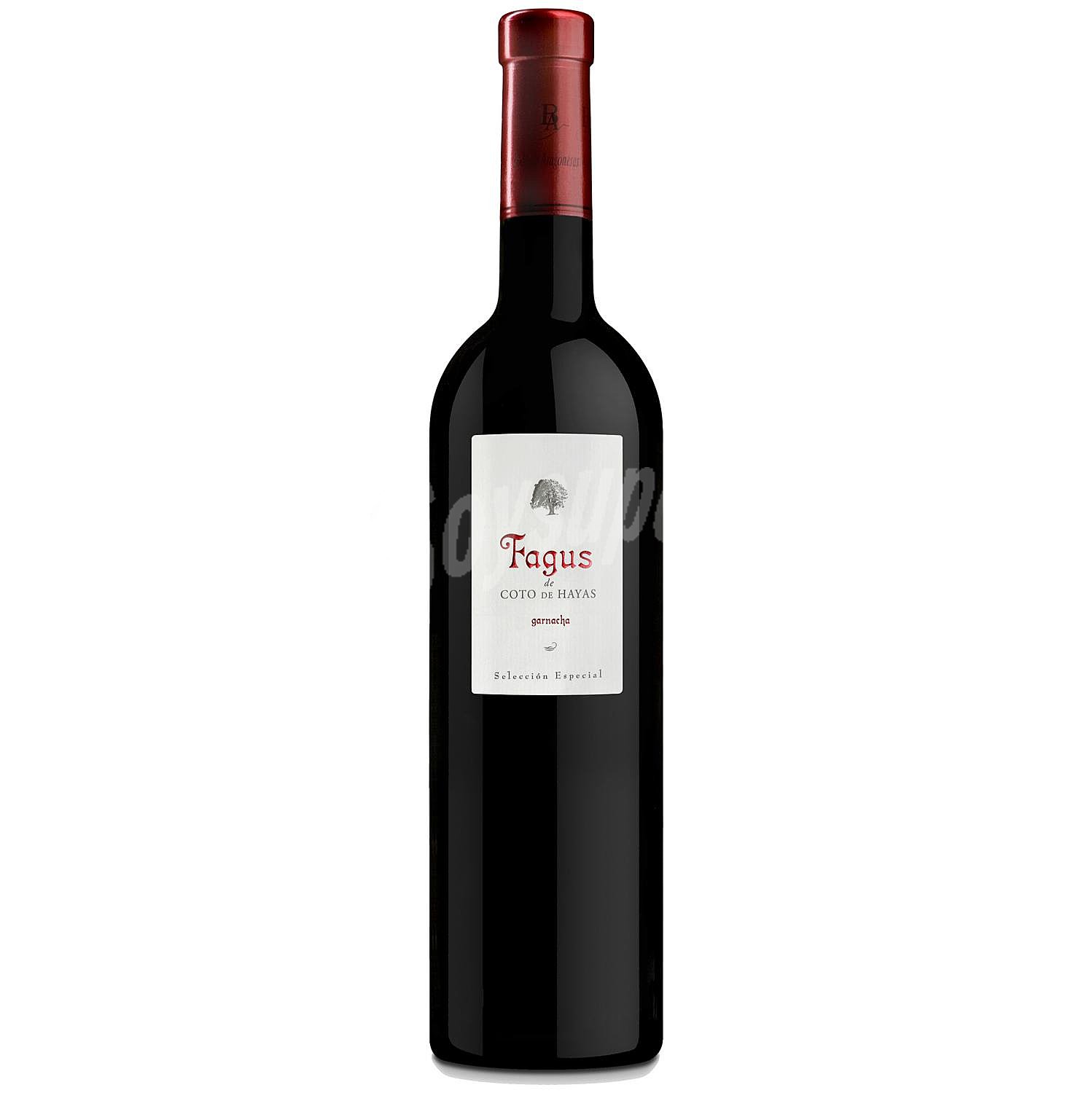 Fagus De Coto Tinto 2019