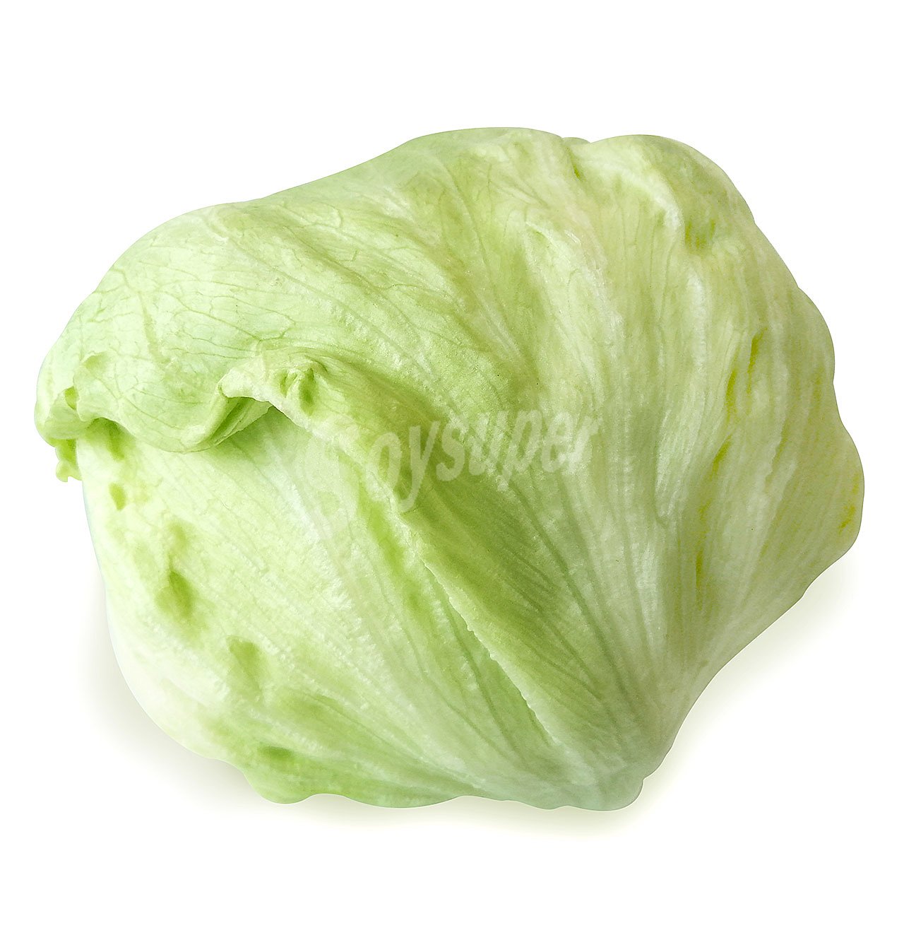 Lechuga iceberg