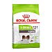 X-small Ageing pienso para perros senior minis