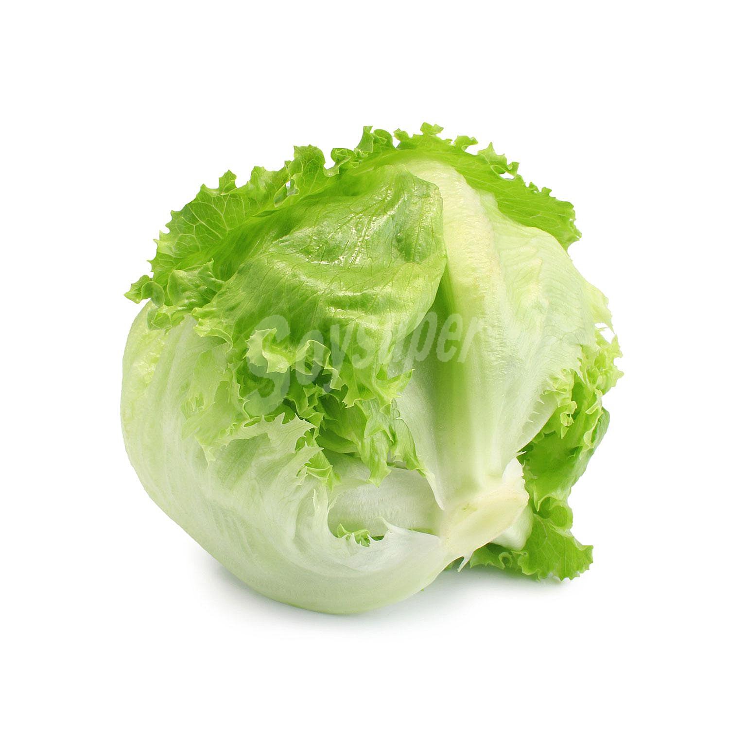 Lechuga iceberg Carrefour