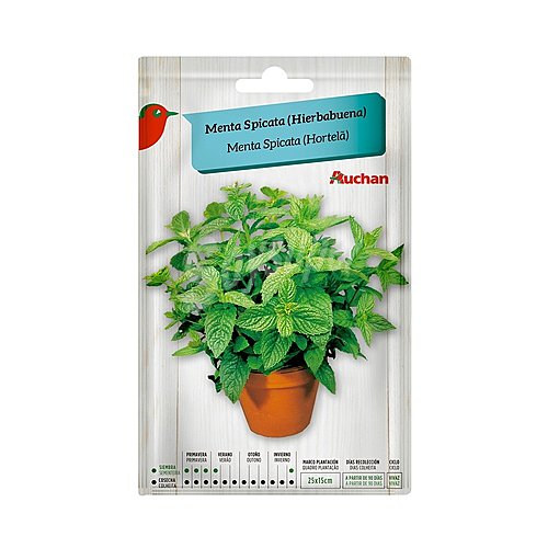 Sobre de semillas para plantar menta de la variedad Spicata (hierbabuena) producto alcampo