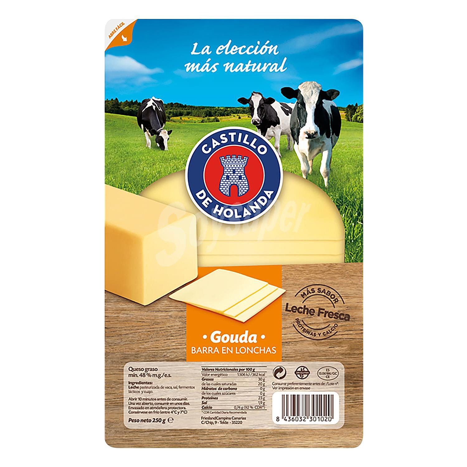 Queso gouda en lonchas Castillo