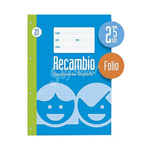 Recambios 100 hojas A4 2,5mm, LAMELA.