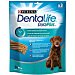 Dentalife duraplus perro gran