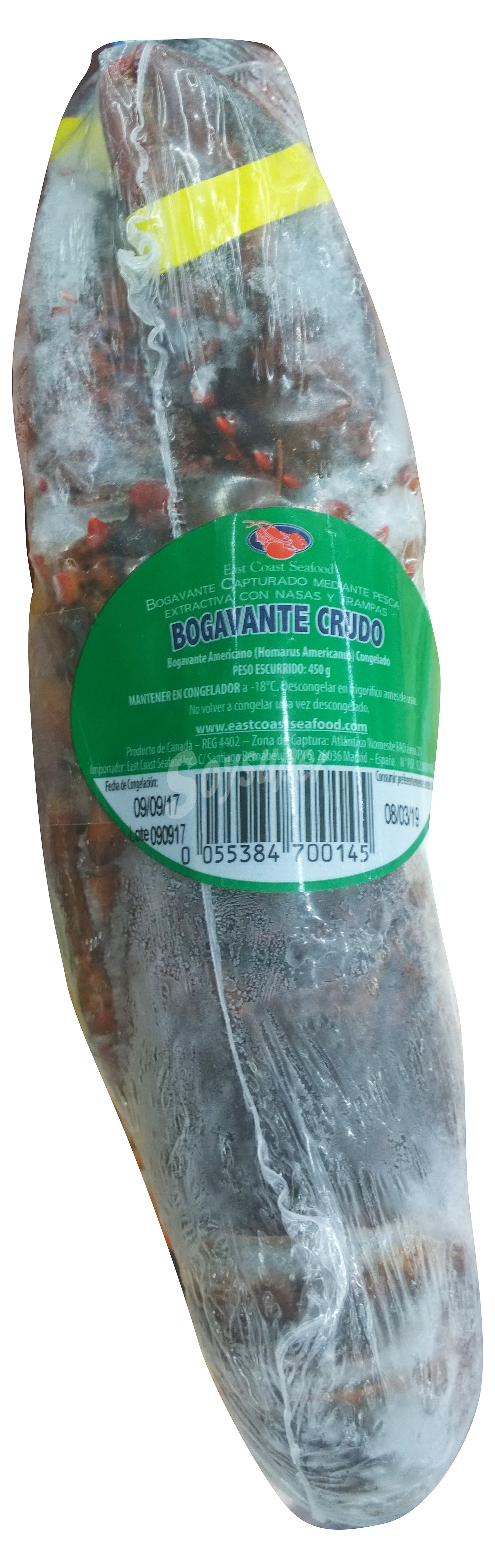 Bogavante descongelado crudo