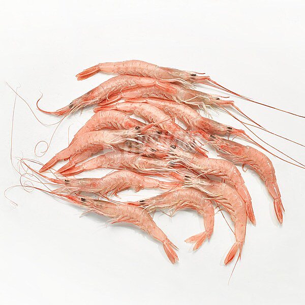 Gamba blanca 120-130 pzs/kg