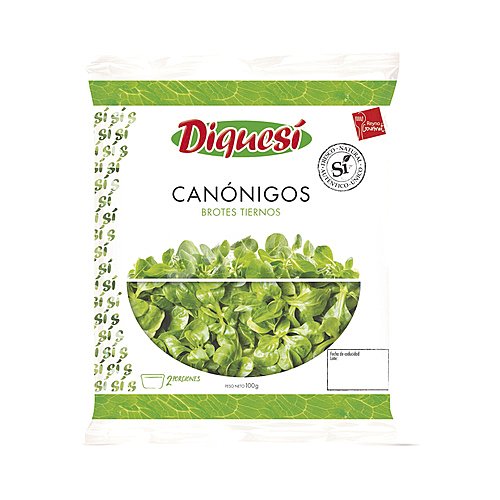 Canónigos diquesí