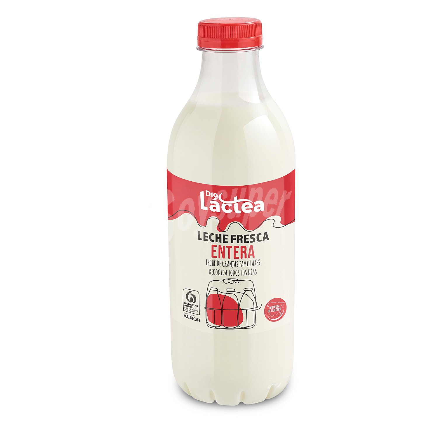 Leche fresca entera Dia Láctea