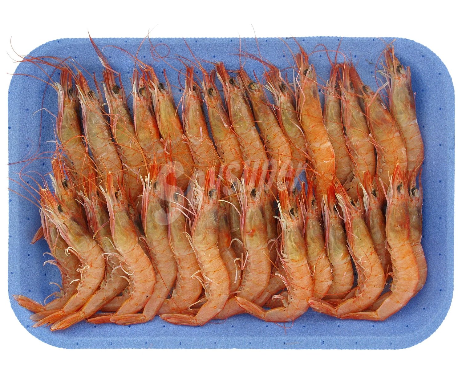 Gambas arroceras