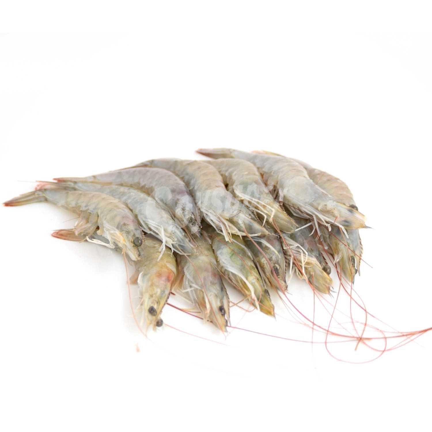 Langostino crudo congelado 1 Kg aprox