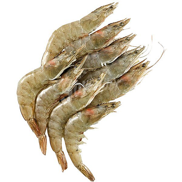 Langostino salvaje de Madagascar 30-40 pzs/kg